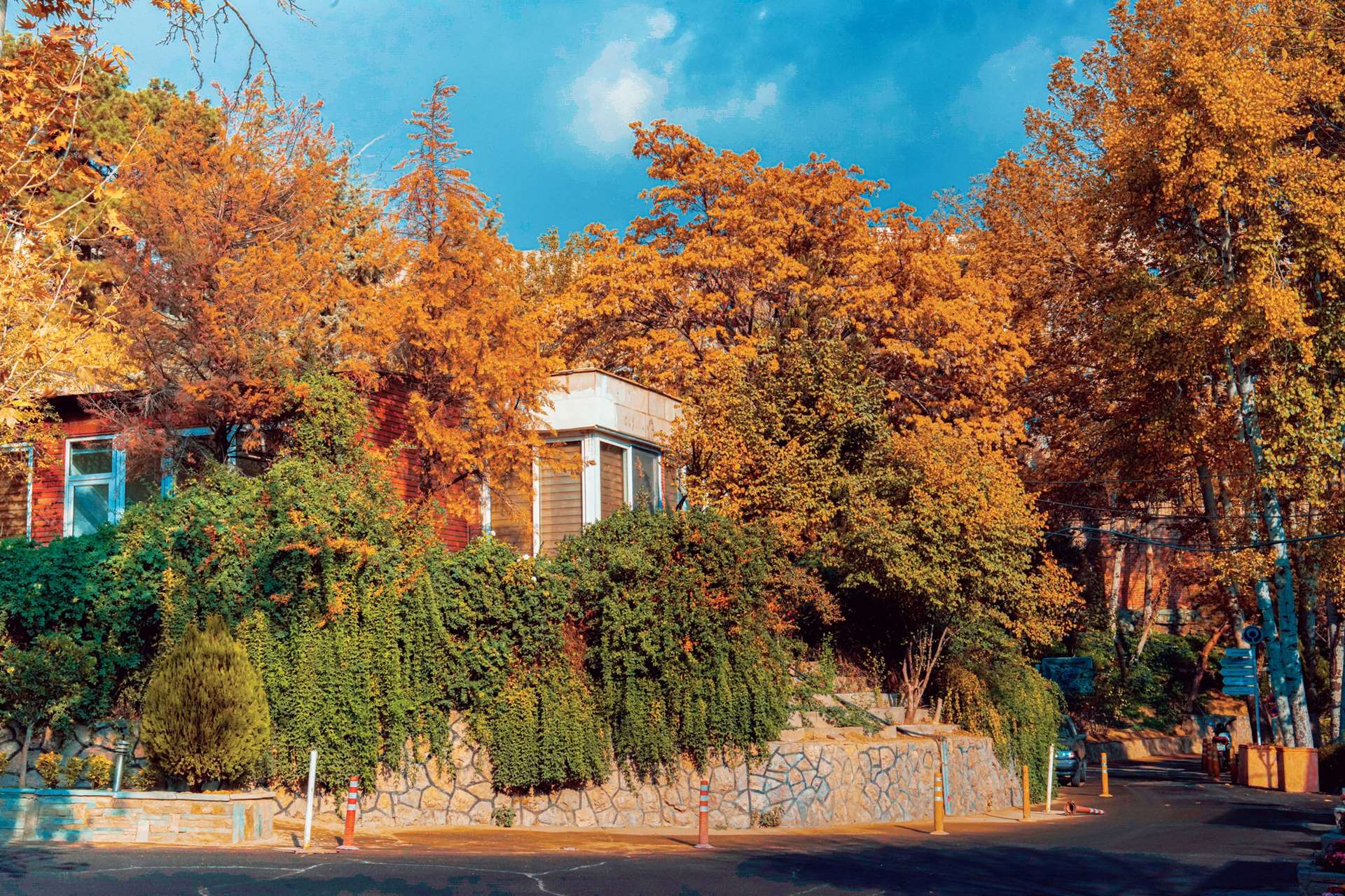 طبیعت پاییزی دانشگاه علوم توانبخشی و سلامت اجتماعی