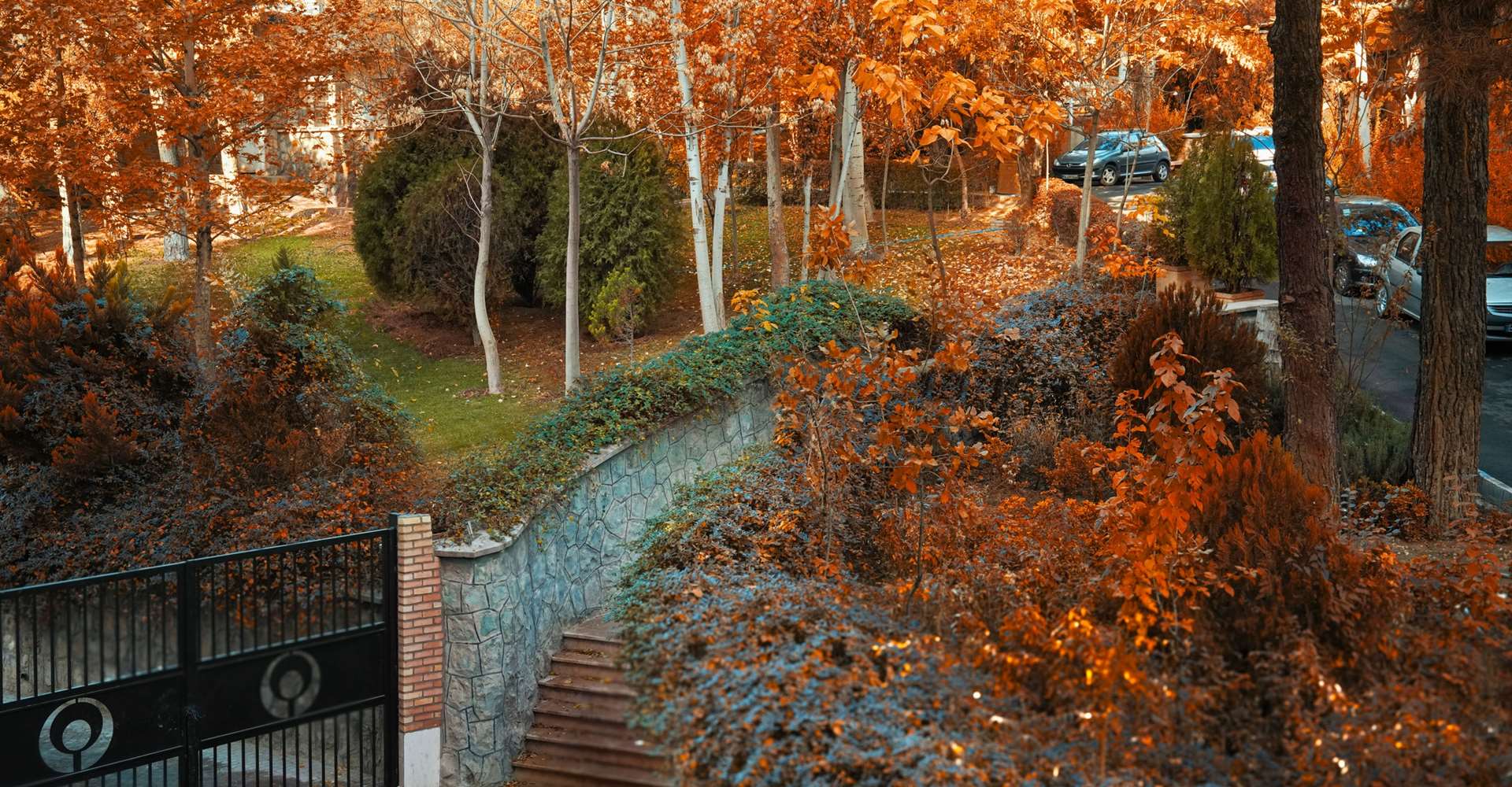 نمایی از طبیعت پاییزی دانشگاه علوم توانبخشی و سلامت اجتماعی