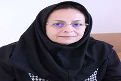 مدیر توسعه و ارزیابی تحقیقات دانشگاه منصوب شد