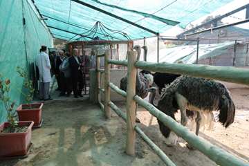 دیدار فرماندار شهرری با رئیس دانشگاه در بیمارستان رازی