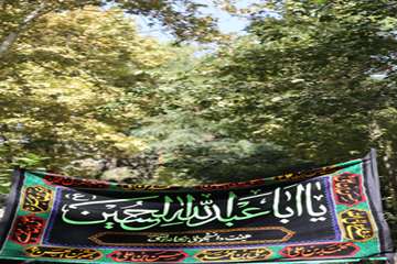 گزارش تصویری مراسم های عزاداری دهه اول محرم