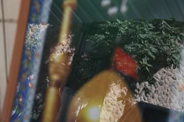 گزارش تصویری مراسم های عزاداری دهه اول محرم